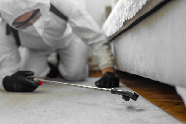 Professional Termite Control technician working in Noble County County, OK